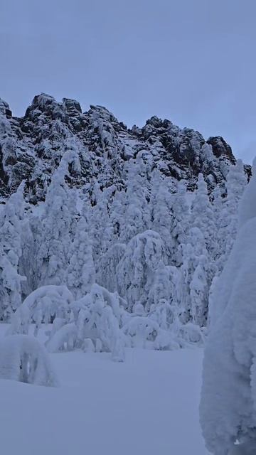 Откликной гребень. смотреть онлайн