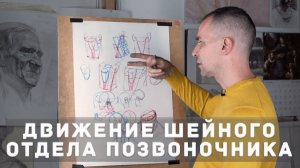 Шейный отдел позвоночника - пластическая анатомия - А. Рыжкин