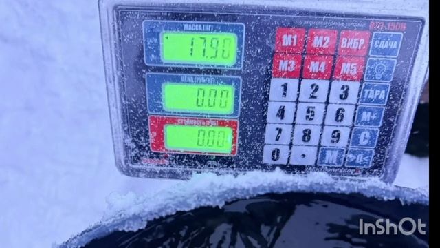 1000137408.mp4 смотреть онлайн