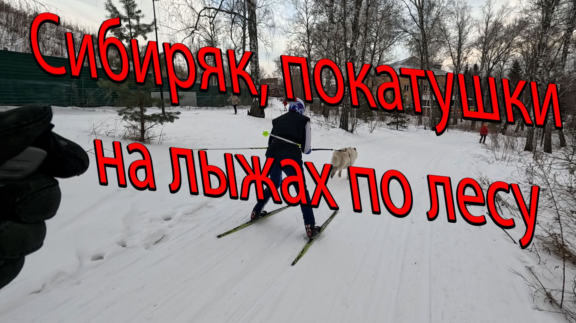 Сибиряк, покатушки на лыжах по лесу смотреть онлайн