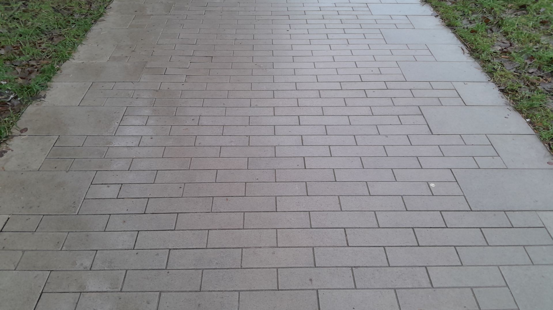 Бордюрный ряд из плит мощения