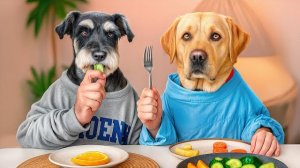 Забавные ситуации с животными