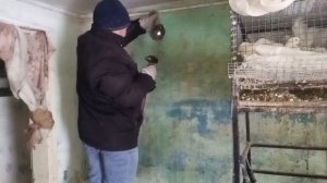 "Домашний рай: повседневная жизнь в частном доме"