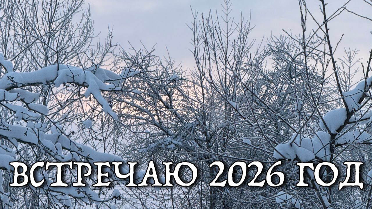 Провожаю 2025 год смотреть онлайн