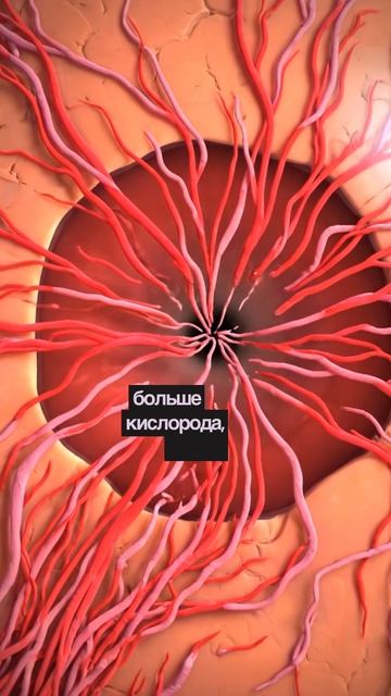Свекольный сок защищает зрение после 40 смотреть онлайн