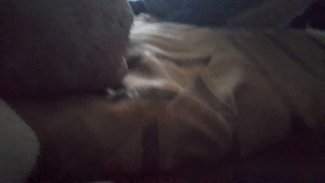 Знакомства с йодычом и его друзьями + история хаггипухуса до йодыча