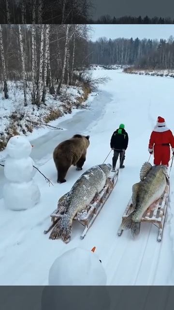 Мужики на Новый год поймали огромных рыб и тащат их домой!!. Часть 2-я. (ИI) смотреть онлайн