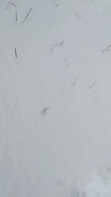 новый год наступил!!!