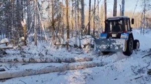 Начали заготовку дров