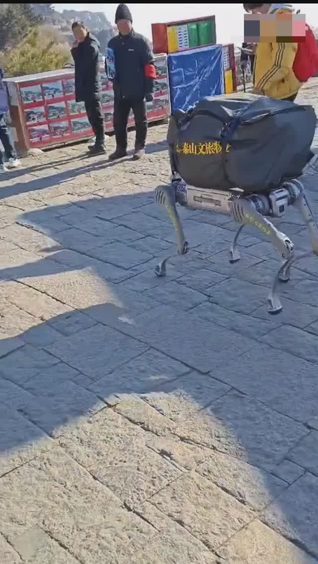 Роботы-собаки всё больше входят в повседневную жизнь китайцев смотреть онлайн