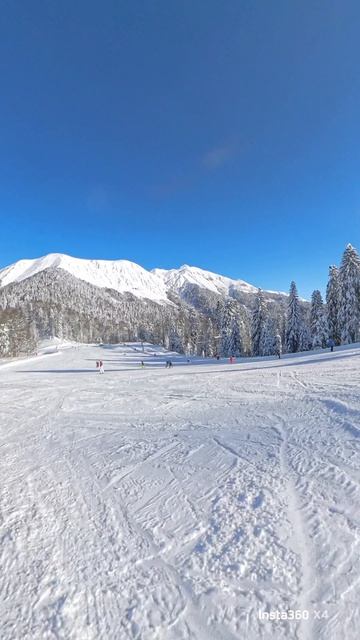 3.01.2026 приют Пихтовый