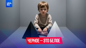 «Обе белые»: почему мы верим толпе, а не своим глазам?