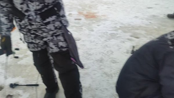 video5390899583930893252