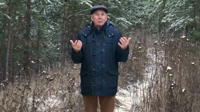 09 Бальзам для позвоночника. Станислав Лосев_ Как начать чувствовать и включить свое сердце смотреть онлайн