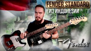 FENDER Standard из ИНДОНЕЗИИ ?!