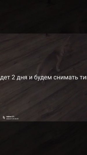 мы два дня не будем снимать видео больше чем тик-ток 😢 3 часть