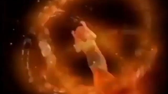 Рекламный блок Outfit7 Films (23.01.2005-25.01.2005)