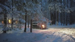 Питер зима 2025