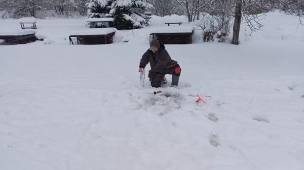 Светлые Горы Форель5 04.01.2026г.