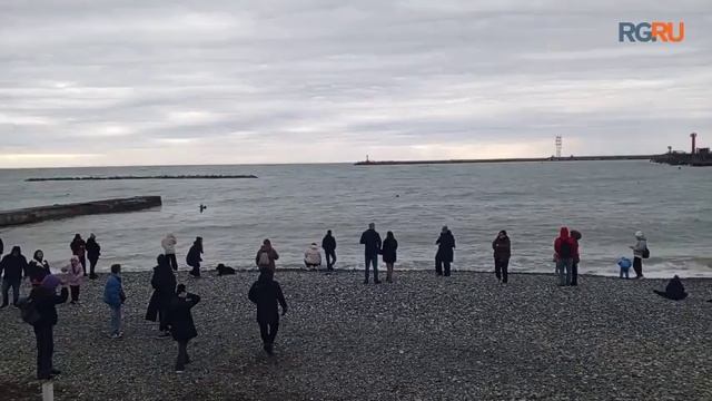 Как в новогодние праздники туристы отдыхают у моря в Сочи смотреть онлайн