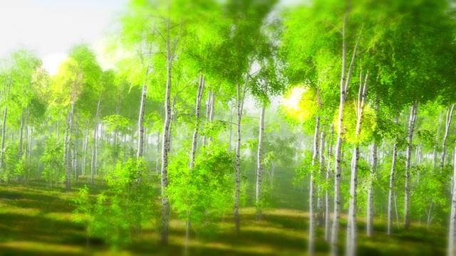 Берёзовая роща смотреть онлайн