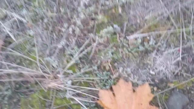 Находка смотреть онлайн
