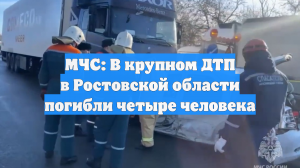 На трассе М-4 «Дон» грузовик столкнулся с несколькими авто, погибли 4 человека