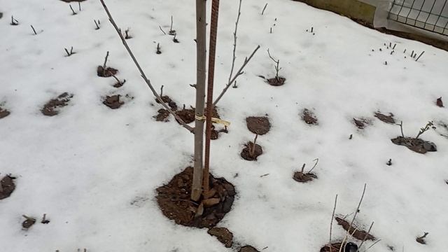 ПРИЕХАЛИ НА ЛЮБИМУЮ ДАЧУ В ЯНВАРЕ смотреть онлайн