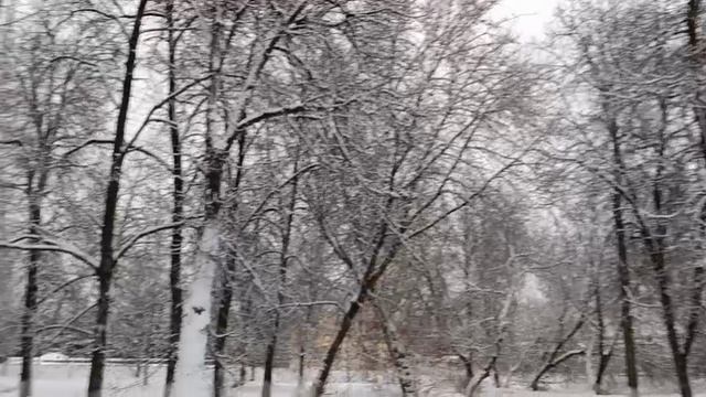 #заснеженый парк в январе смотреть онлайн