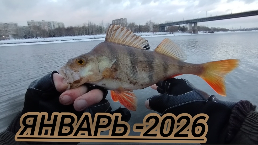 ЗИМОЙ МЫ ЛОВИМ НА СПИННИНГ/ДОБИВАЕМ ОСТАВШИХСЯ ОКУНЕЙ!!! смотреть онлайн