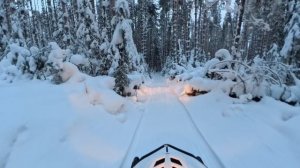 До Плакуна и обратно 2026