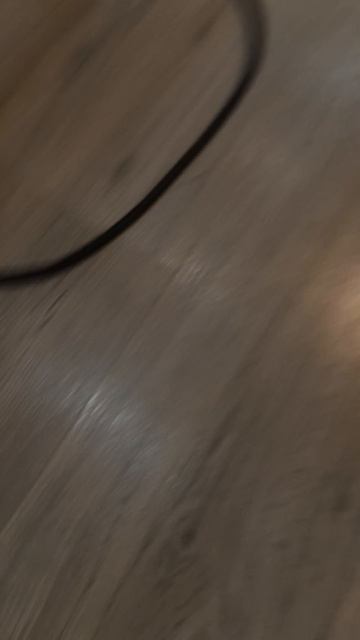 помогите моему королю котов