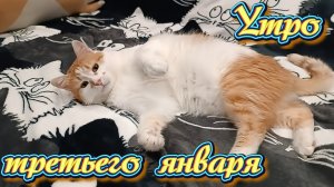 Утро третьего января.