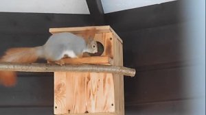 Утро Камышина 4  янв 2026