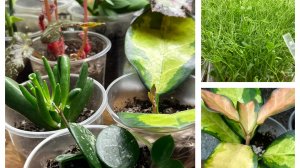 Обзор стеллажа в Январе!