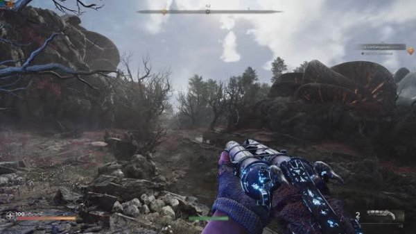 PIONER: ПИРАТКА