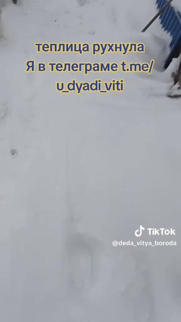 Пенза 03.01.2026. Теплица рухнула от снега. До слез. Сбор на ремонт 89053666530 Альфабанк. Спасибо.