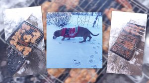 Как пожарить шашлык за 5 минут 🤩