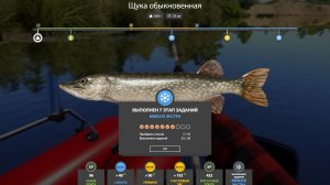 НОВОГОДНИЕ ЗАДАНИЯ ЭКСТРА 7 ЭТАП - РУССКАЯ РЫБАЛКА 4