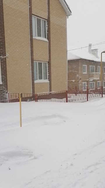 04.01.2026 сосновские метели