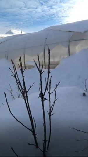 Земля зимой отдыхает от нас, и мы тоже отдыхаем от земли