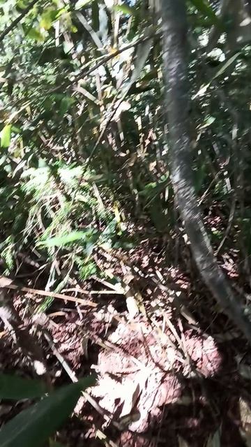 Вот здесь они что-то искали смотреть онлайн