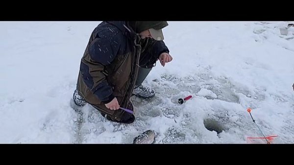 Светлые Горы Форель8 04.01.2026г.