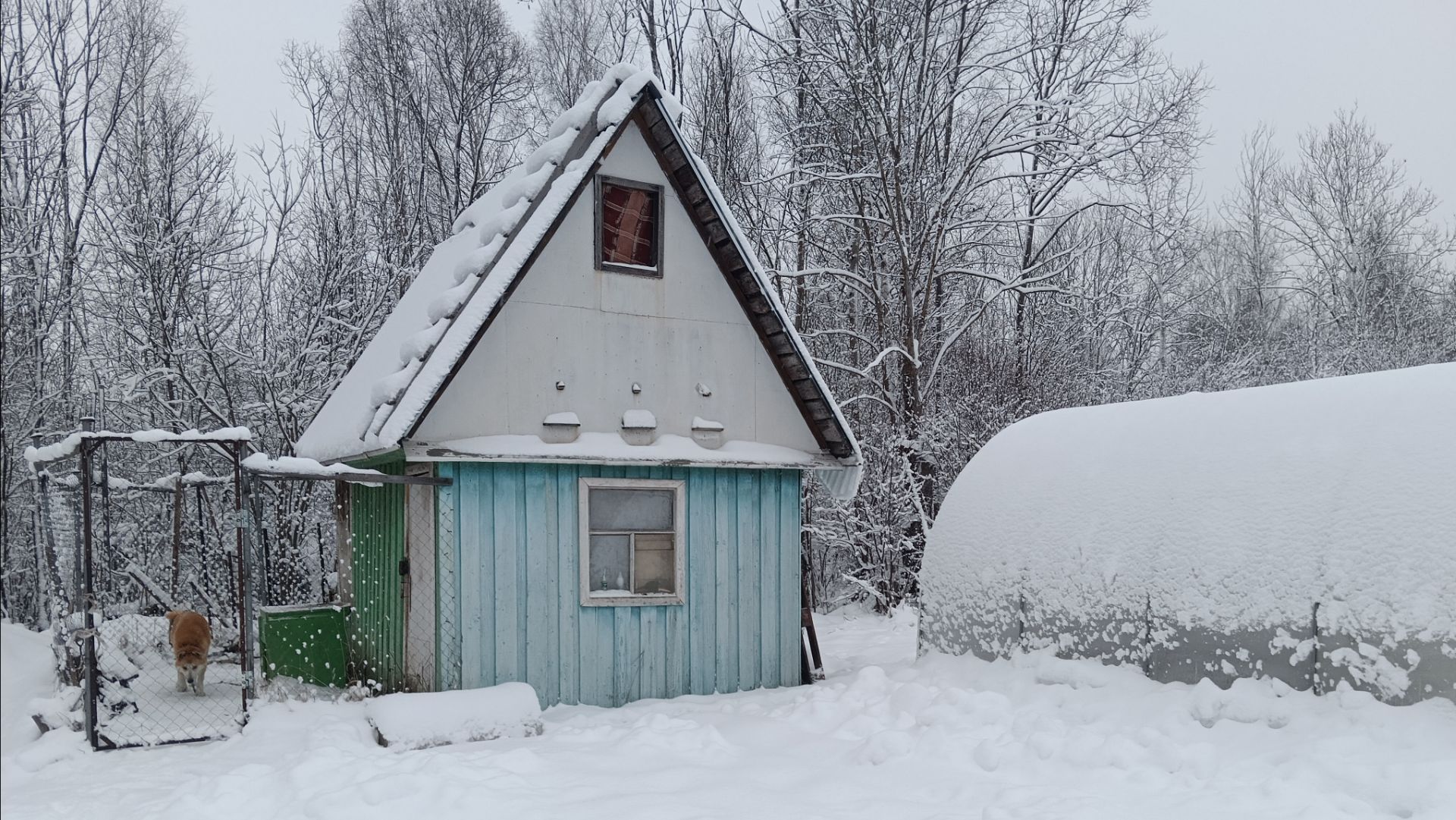 Как выглядит наш огород сейчас . смотреть онлайн