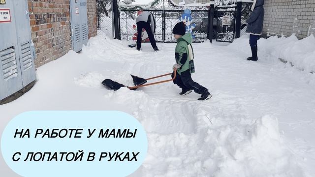 Зенит январская вьюга