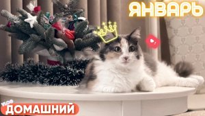 НОВОГОДНИЕ КАНИКУЛЫ 2026🎄 / ВЛОГ / ДОМАШНЕЕ