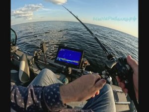 Пелагическая рыбалка