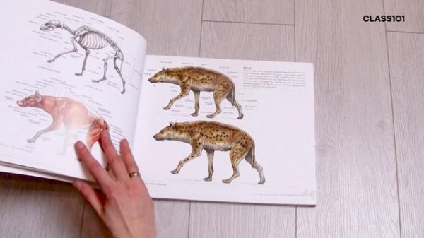 9-2 - Best online and offline resources for anatomy studies