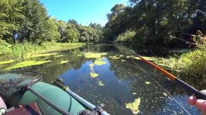 ЛОВЛЯ ЩУКИ В ЗАРОСЛЯХ КУВШИНОК! ТУТ НЕТ ЛЮДЕЙ, ПРИРОДА КАК В СКАЗКЕ! Рыбалка.