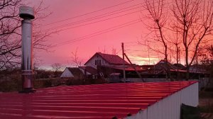 Немного поработали, пока позволила погода. Муська подобрела)